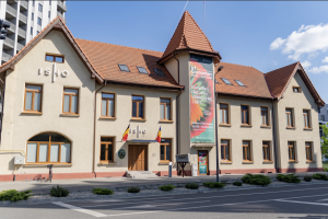 Tururi ghidate: Fundaţia Art Encounters