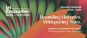 Deschidere Art Encounters 2025
