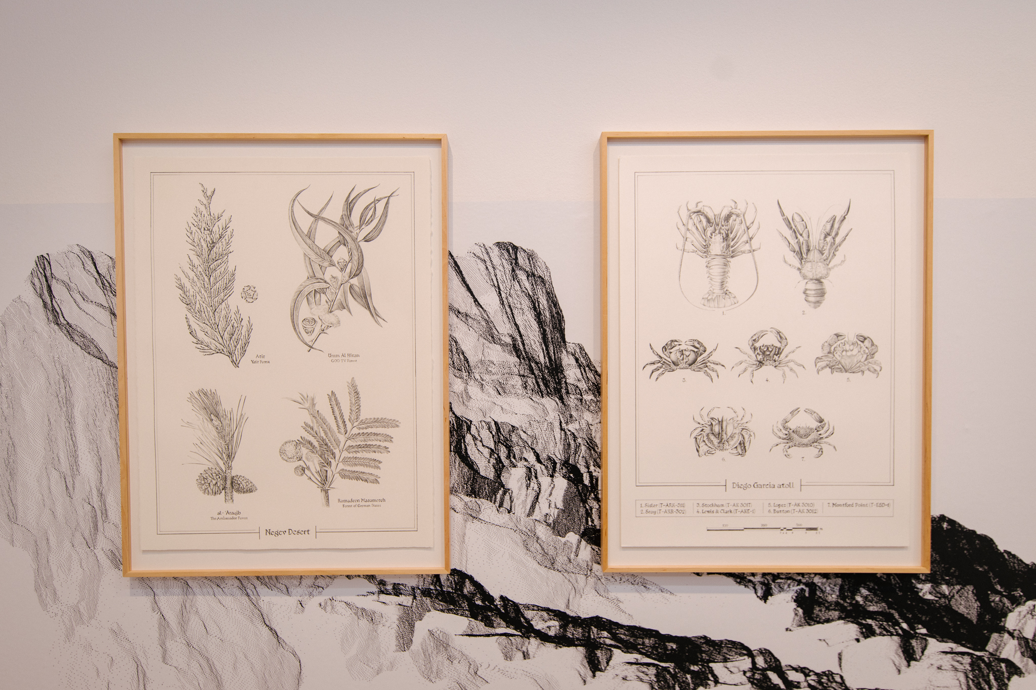 UnWorlding_exhibition_shots_webres-124