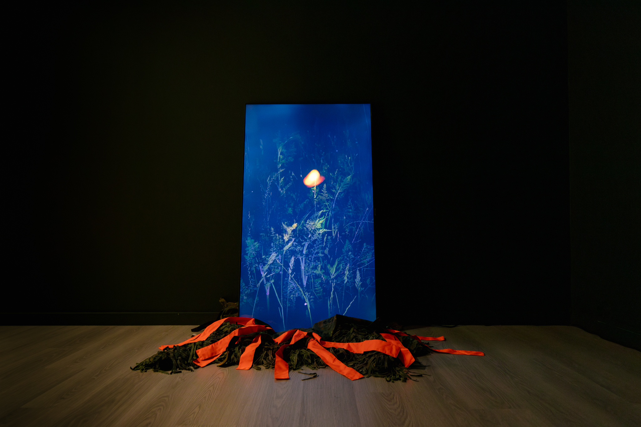 UnWorlding_exhibition_shots_webres-92