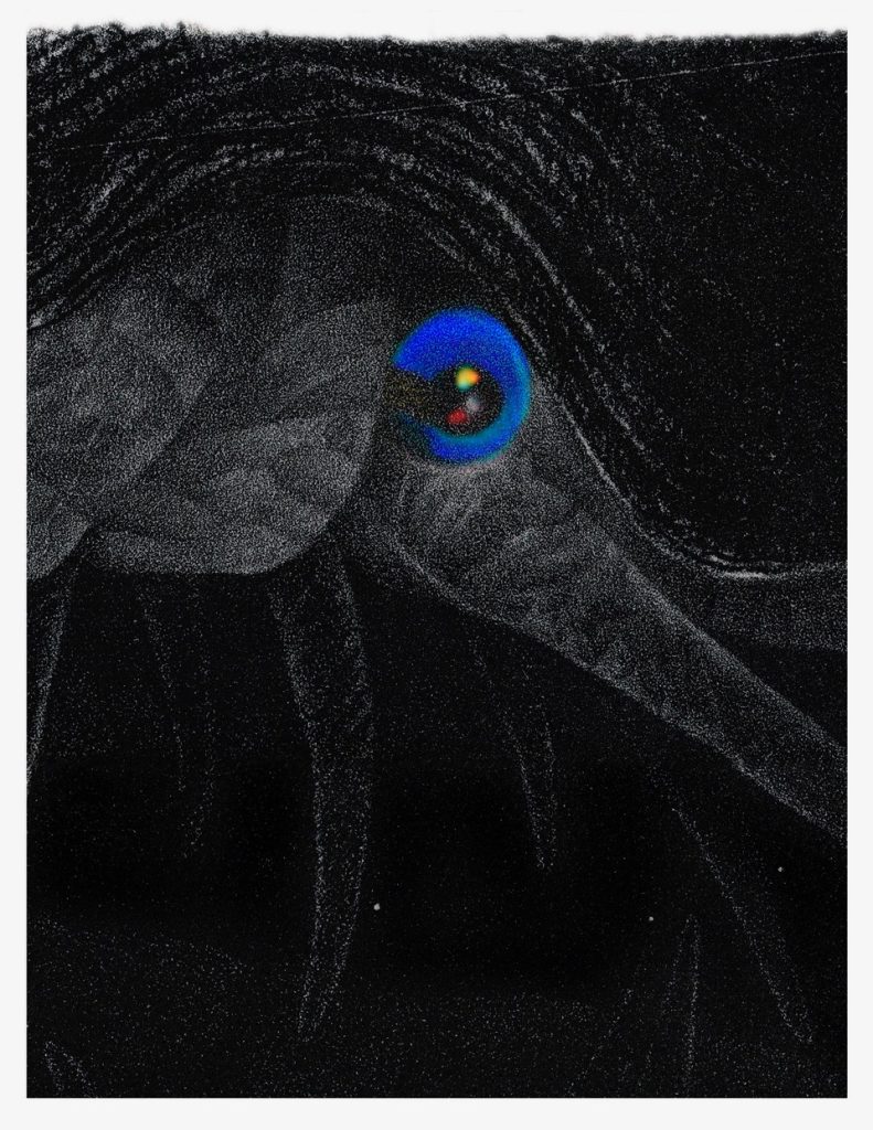 Copy of 212.Ana Golici, They are good boiled or pickled,2012