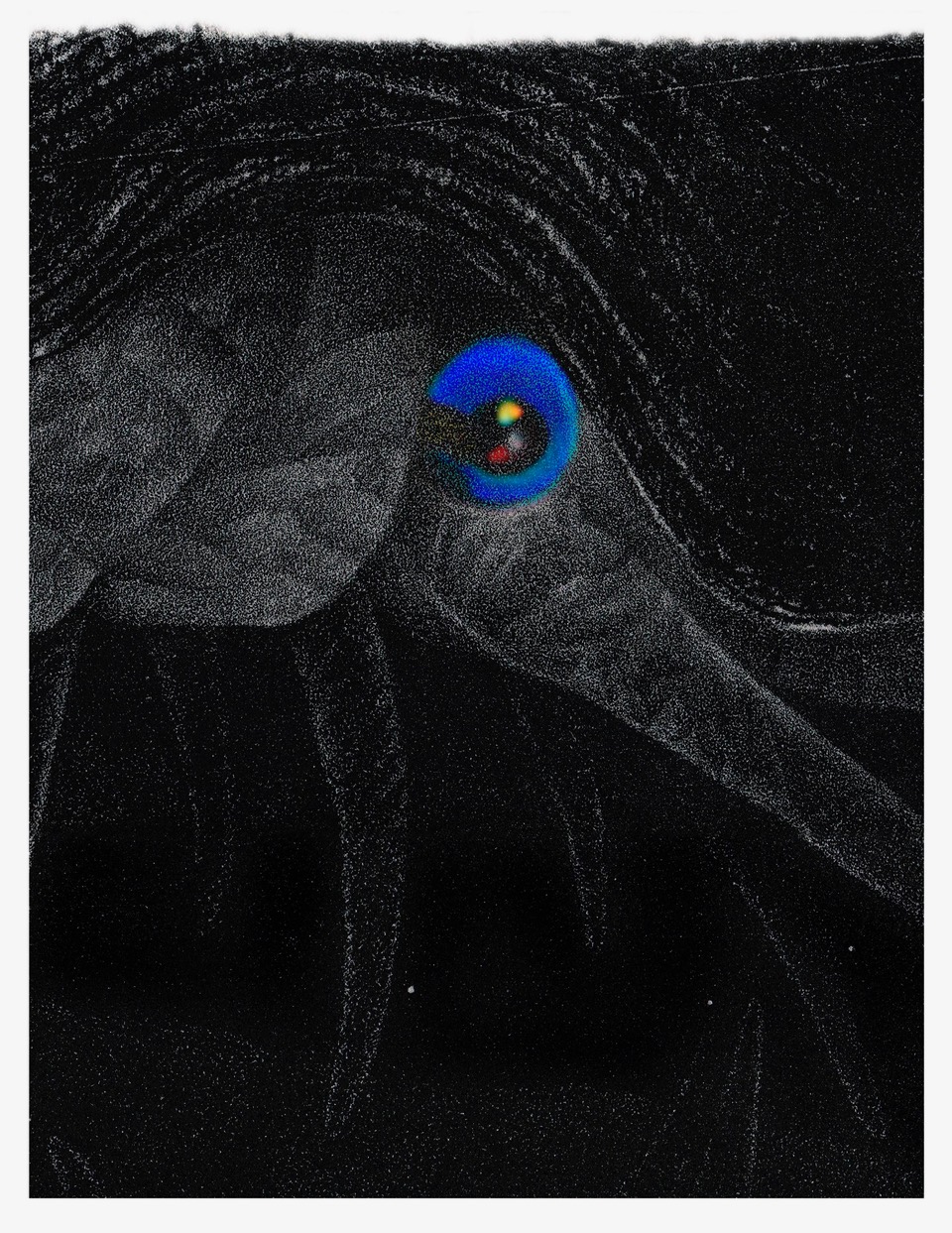 Copy of 212.Ana Golici, They are good boiled or pickled,2012