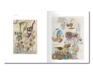 Stefan B_Post copy 2