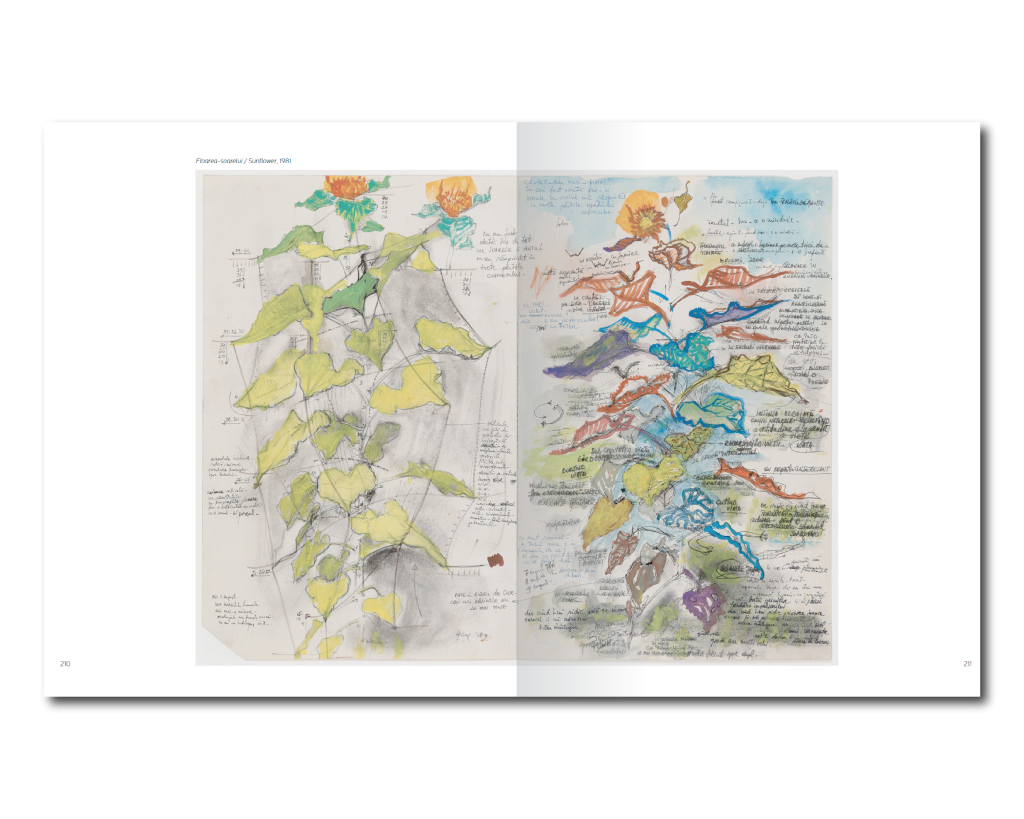 Stefan B_Post copy 3