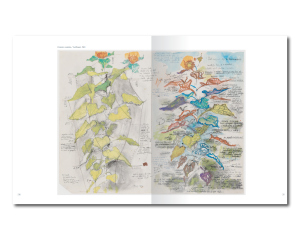 Stefan B_Post copy 3