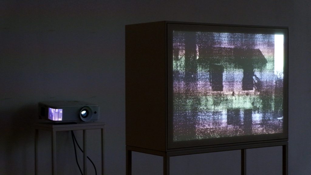 Alexandra Mereuți și Sebastian Danciu