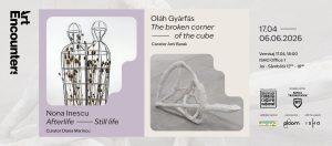 Nona Inescu: Afterlife – Still Life & Oláh Gyárfás: Colțul ciobit al cubului / The Broken Corner of the Cube