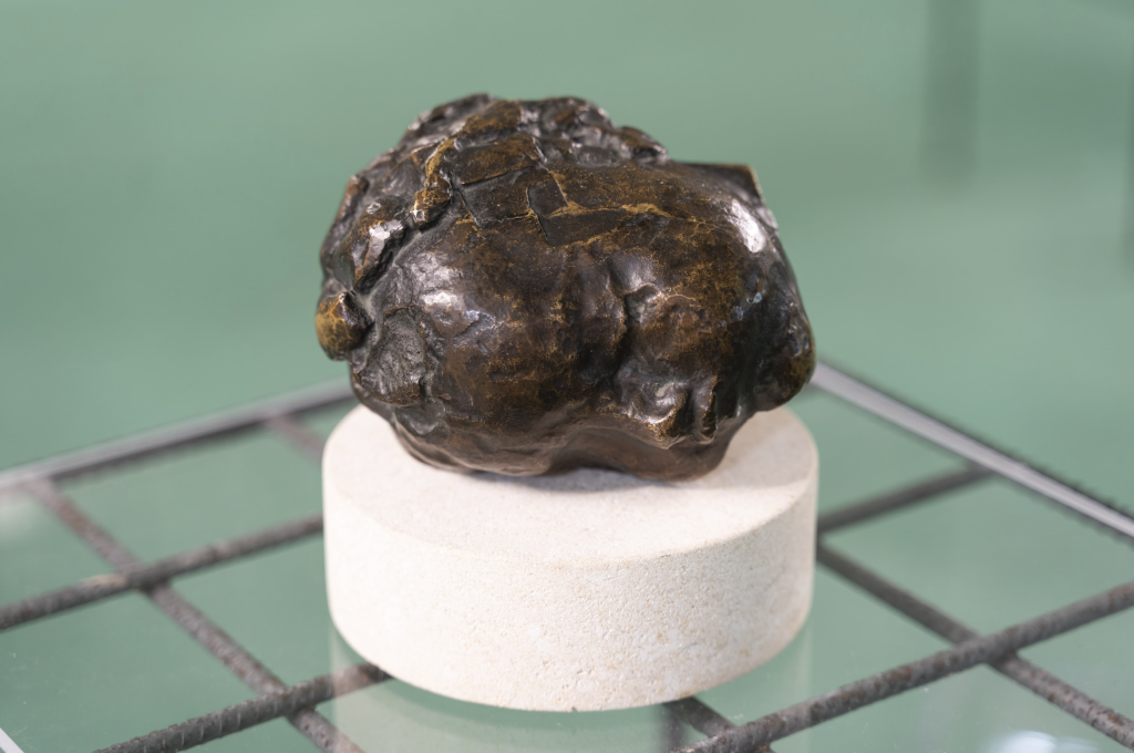 Constantin Brâncuși