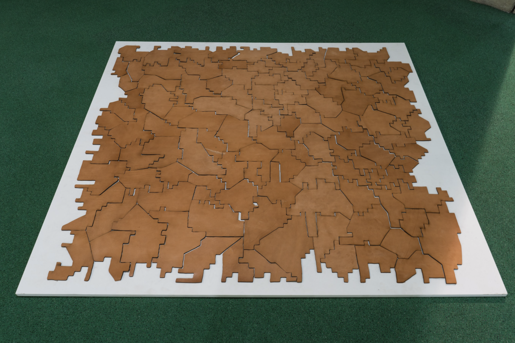 Anca Munteanu Rimnic