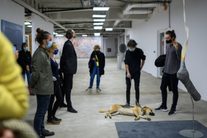 Sunday Tours #5