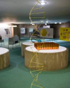 Ex-East. Past and recent stories of the Romanian avant-gardes